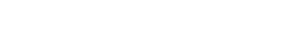 FX Master Logo white